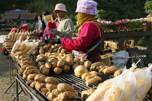 0848 onderweg Mae Hong Son.jpg
